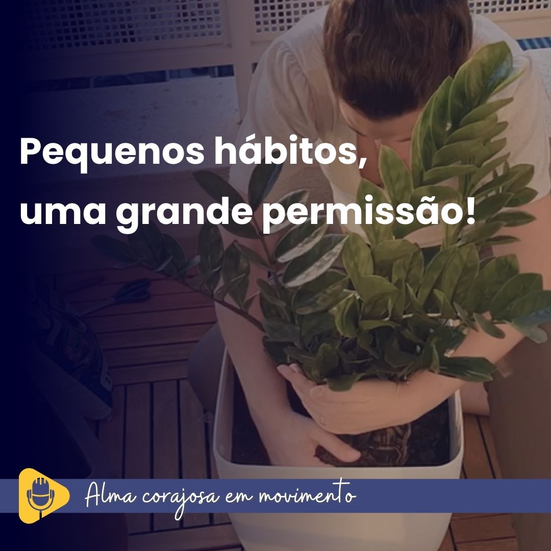 hábitos, permissão, identificação de padrões