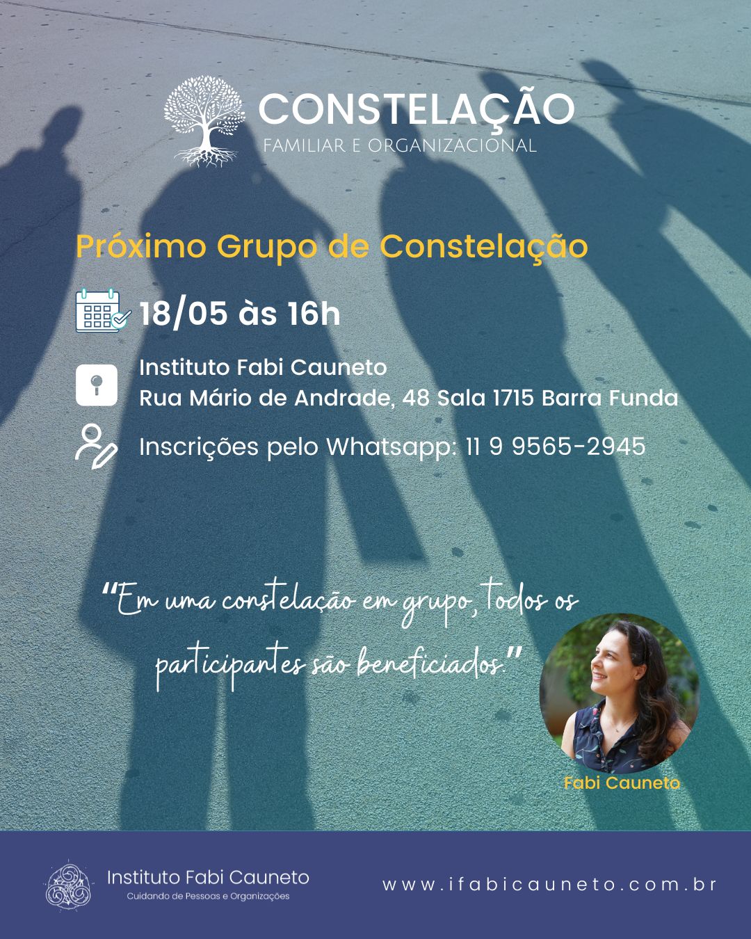constelação sistêmica, constelação familiar, grupo de constelação, constelação em grupo